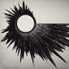 Artwork with black feathers set on a spiral around a circle