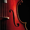 Closeup of classical stringed instrument