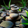 Stack of smooth river stones; stones and plants in background