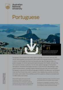 Portuguese discipline flyer