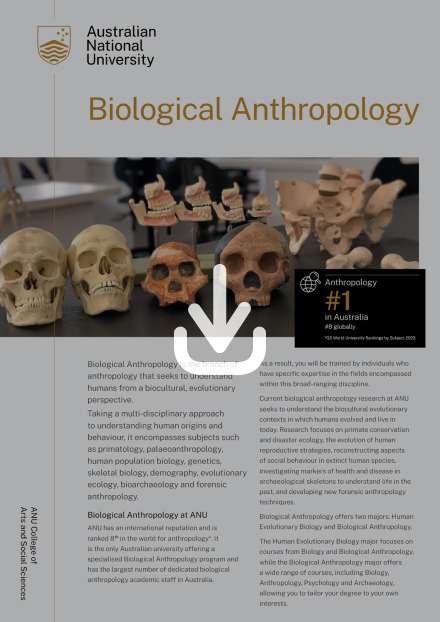 Biological Anthropology flyer