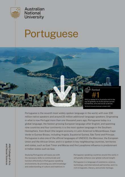 Portuguese flyer