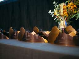 The 2016 Alumni of the Year award trophies, designed and provided by CASS alumnus Robert Fink