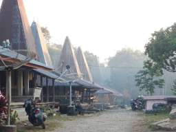 The village Pasunga, where Asha stayed