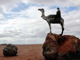 'The Golden Feral Trail', 2013-14 by Archana Hande