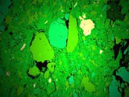 Electron microscope image of shards of one of 20 pieces of pottery found at the site in Wanelek. Image: Dylan Gaffney