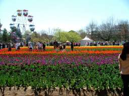 Floriade Flower Festival