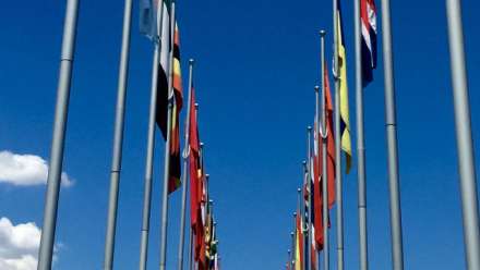  Image: Lake Burley Griffin flags by Paris Lord
 