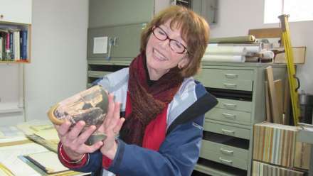  Elizabeth Minchin, here assessing an ancient vase, will have her name inscribed on the Roll of Professors Emeriti of the University.
 