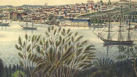  From the cover of From St Petersburg to Port Jackson. Image: supplied.
 
