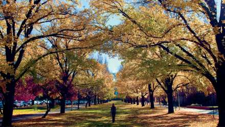  The latest QS World University Rankings for 2018 rated ANU at 20 in the world, up two places on last year.
 