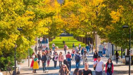  ANU was ranked 33 in the world out of the top 400 universities included in the arts and humanities subject rankings
 
