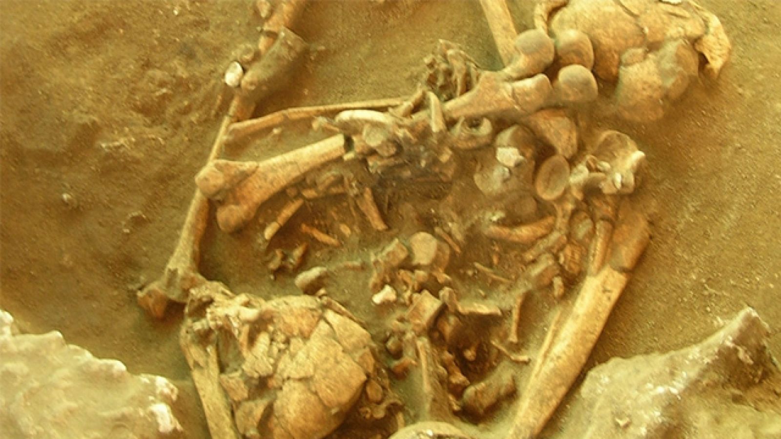 Ancient skeleton at the Teouma site on Efate. Image: ANU