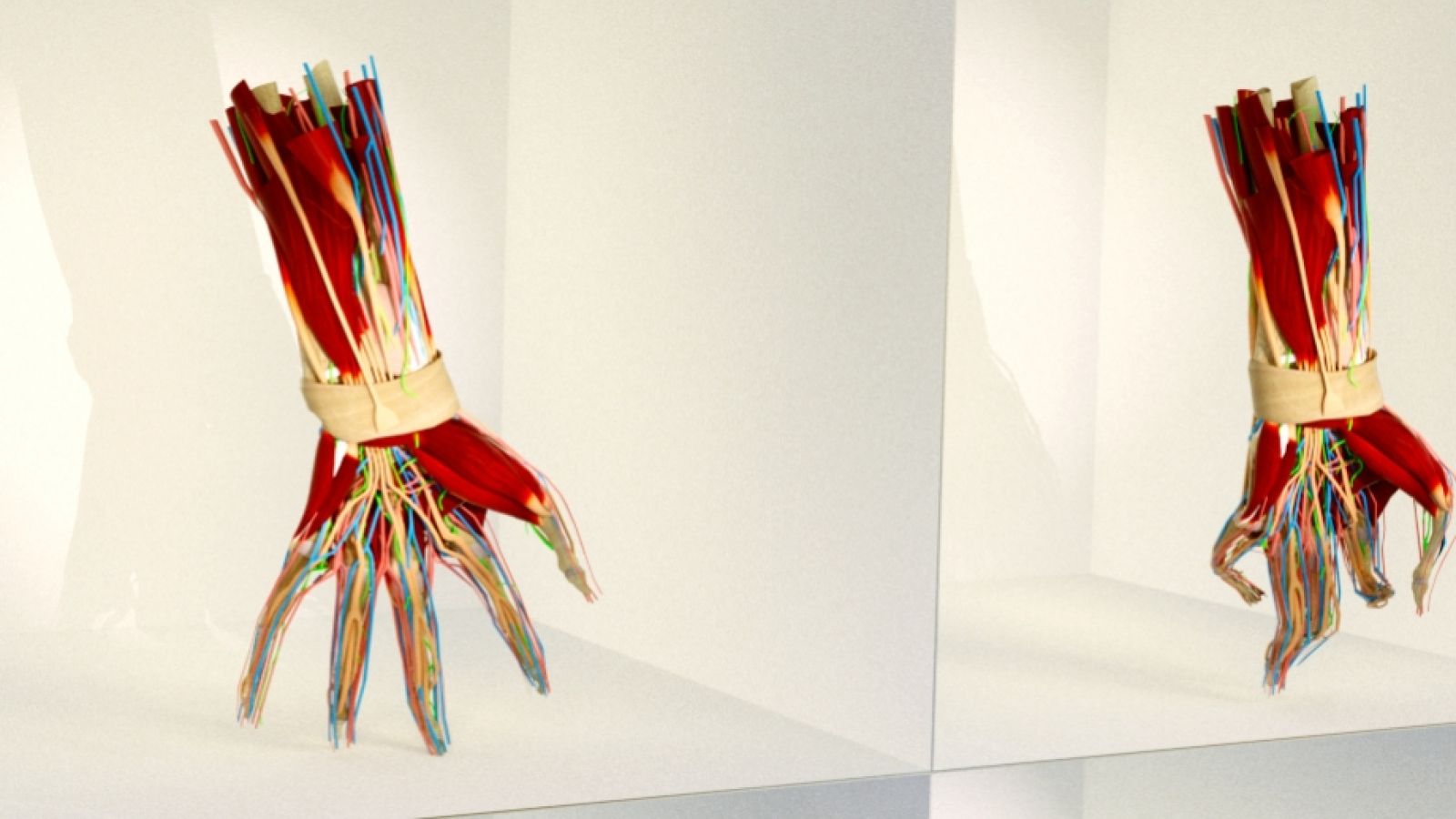 We use our hands both when hacking and being hacked. Photo: Dr Baden Pailthorpe