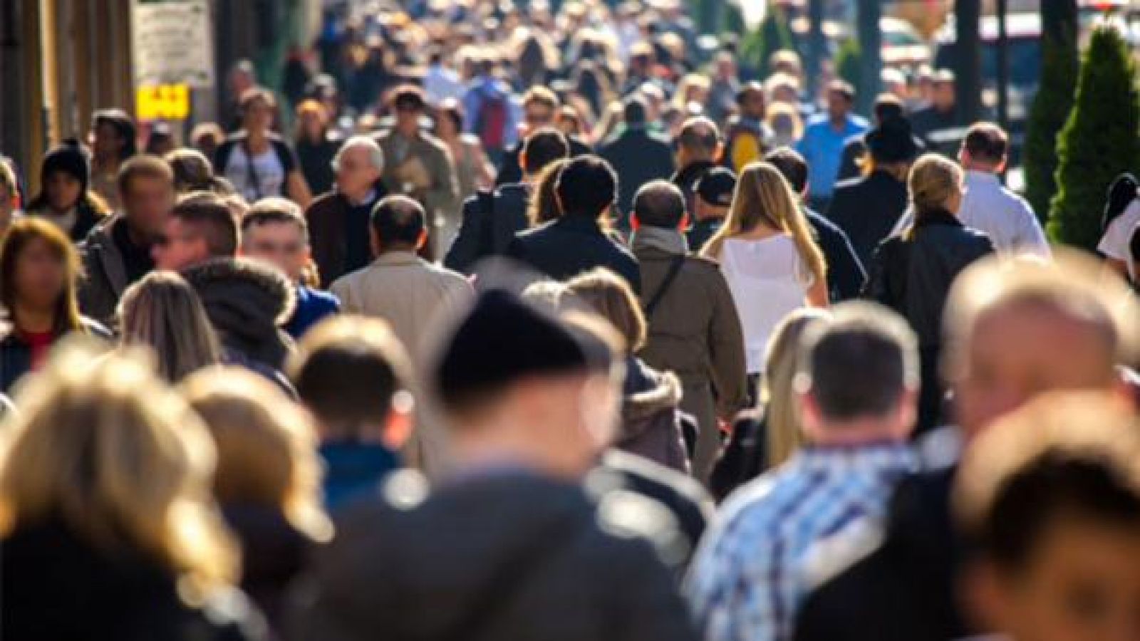 New research from the ANUPoll suggests there are five social classes in Australia