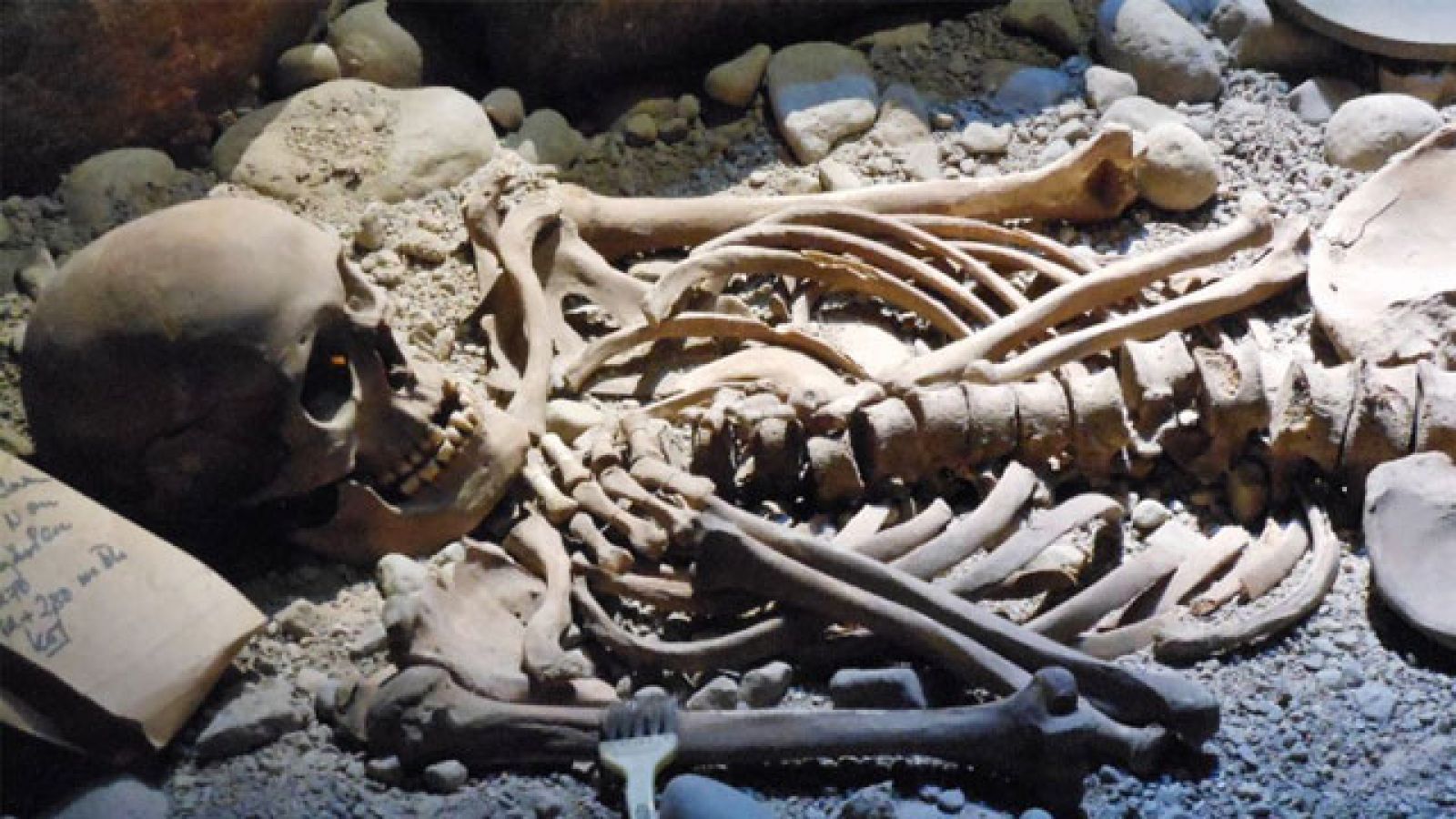 ANU Honours student Clare McFadden said that being able to identify the sex of human skeletal remains is crucial to avoid creating a distorted version of history: Image: Michael Coglhan, Flickr.