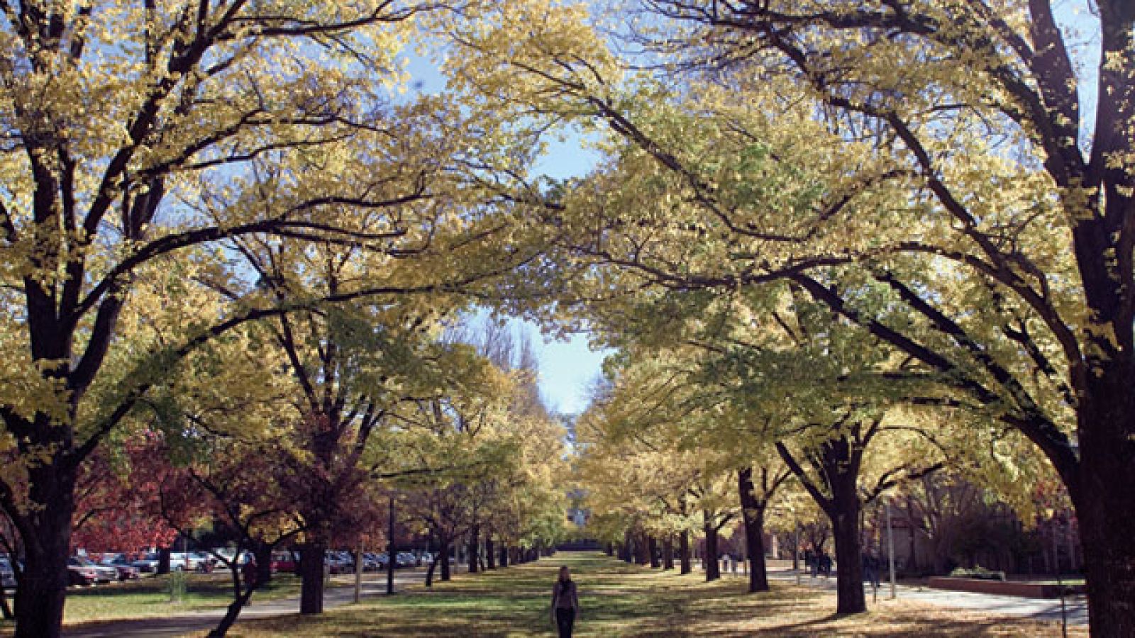  University Avenue, ANU
 