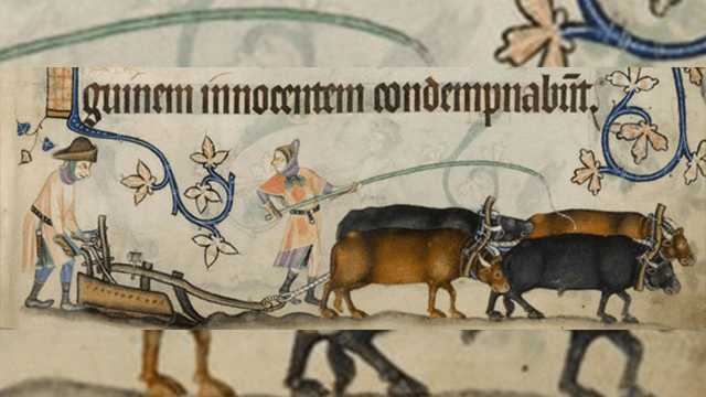 anonymous, &quot;Luttrell Psalter,&quot; (Online: Encyclopedia Britannica, 14th Century), public domain