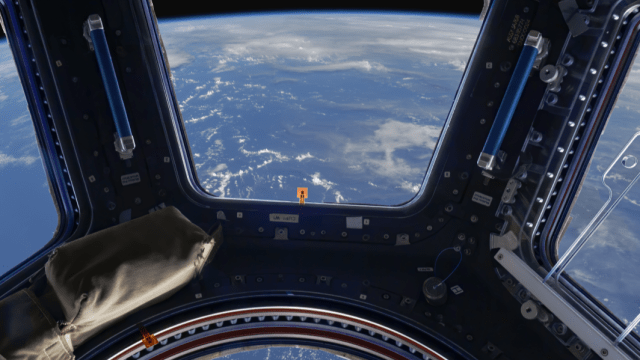 Wellspring Series: The Outer Space Quartet